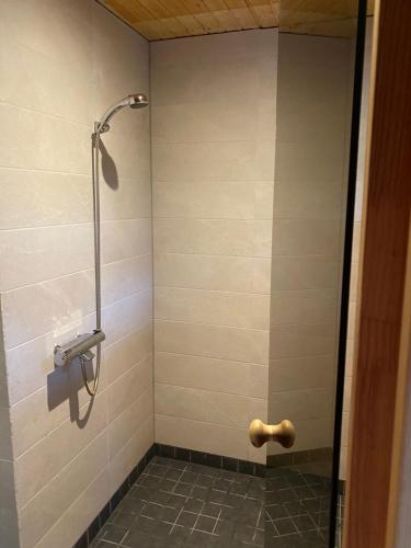 een douche in een badkamer met een betegelde muur bij Merineitsi peamaja saunaga kahele in Tahkuna