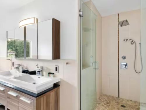 迈阿密Villa Zenora的浴室配有洗手池和淋浴