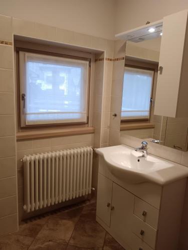 a bathroom with a sink and a mirror and a radiator at Fiocco di neve in Valdisotto
