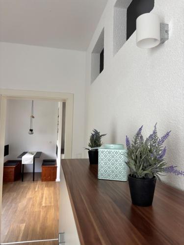 Fotografie z fotogalerie ubytování Gemütliche Ferienwohnung auf der Schwäbischen Alb v destinaci Hohenstein