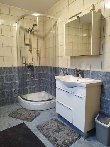 a bathroom with a sink and a shower and a tub at Kuća za odmor Dankica in Veliko Trgovišće