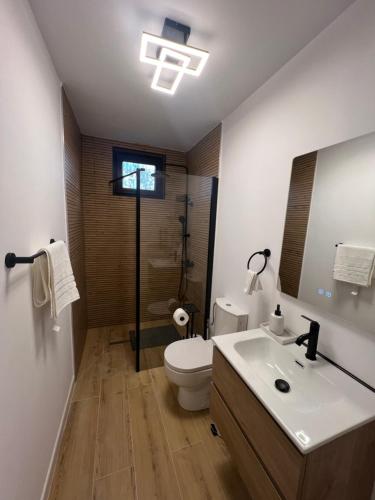 a bathroom with a toilet and a sink and a mirror at Arbor in Vadul lui Carol II