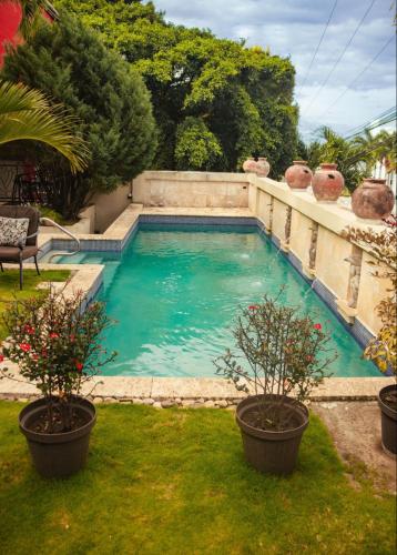 a swimming pool in a yard with two potted plants at Altos de Fontana by Macondo Collection in Managua
