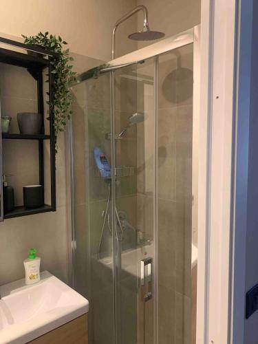 a shower with a glass door next to a sink at La Fatina appartamento in Collodi