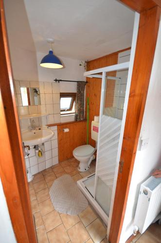 a bathroom with a toilet and a sink at Thatched 2persons Cottage in Currahy Bridge