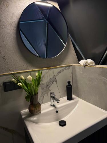 un lavandino del bagno con uno specchio rotondo sopra di Tyla Dviese a Bendoriai