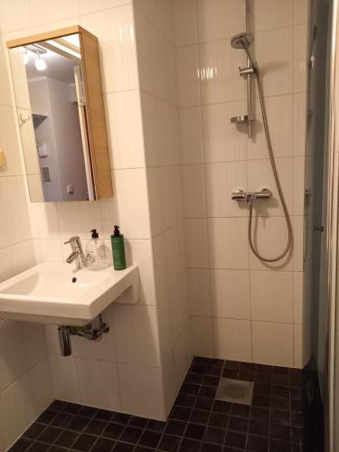 a bathroom with a sink and a shower at Studio Deluxe in Tallinn