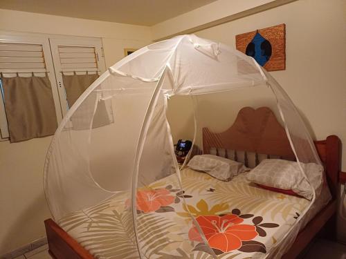 a bed covered in a canopy in a room at Le Refuge de Nicolas in Quartier Morne Acajou