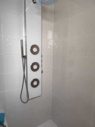 a shower with a shower head in a bathroom at Gîte menthe à l'eau in Ciadoux