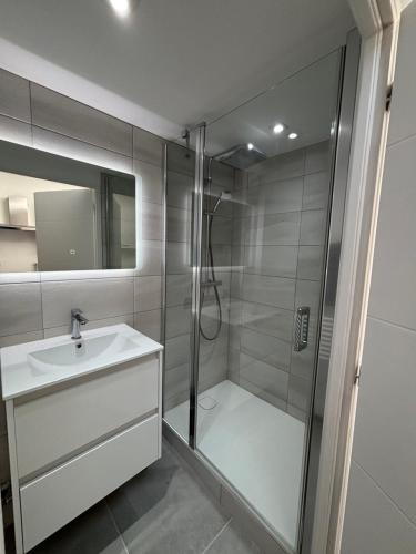 een badkamer met een douche en een wastafel bij Studio in Amblagnieu