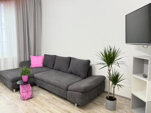 een woonkamer met een grijze bank en een roze kussen bij Time Wohnung in Wuppertal