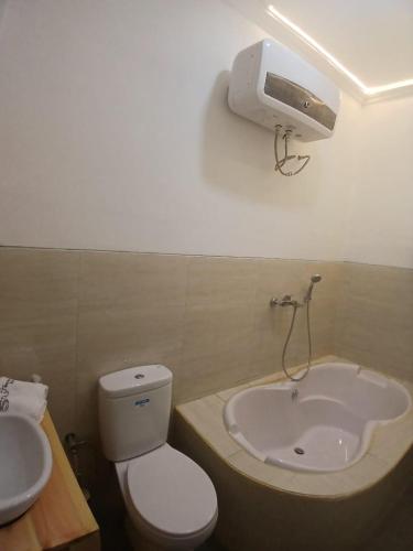 a bathroom with a toilet and a sink at Omah Barepan Temple View in Borobudur