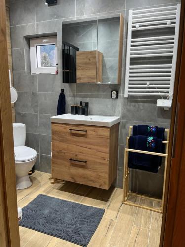 een badkamer met een wastafel en een toilet bij Nest Haus in Ludwikowice Kłodzkie