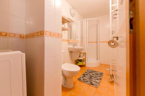 a white bathroom with a toilet and a shower at Boží Dar 95 in Boží Dar