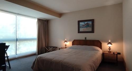 een slaapkamer met een bed en een groot raam bij Hotel Thayer in Santiago