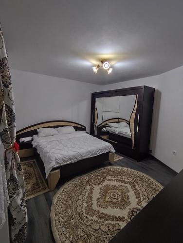 een slaapkamer met twee bedden en een spiegel aan de muur bij Acasă la Elias in Breb