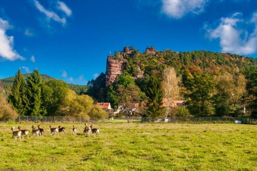 a herd of deer in a field with a castle in the background at Barbaras Felsenlodge in Dahn