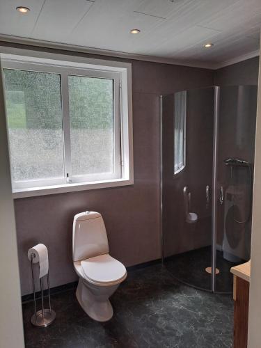 a bathroom with a toilet and a window and a shower at Gustavsbo in Ljungbyhed
