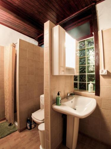 a bathroom with a sink and a toilet and a window at Aloe Apartament 2 plus 1 gratis w Casa Verde de Guía in Santa Maria de Guia de Gran Canaria
