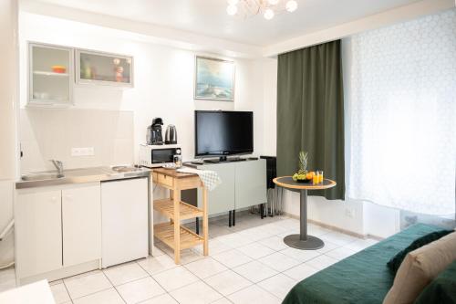 Zimmer mit Küche und Wohnzimmer in der Unterkunft Mega COOL Flat France Suisse in Saint-Louis