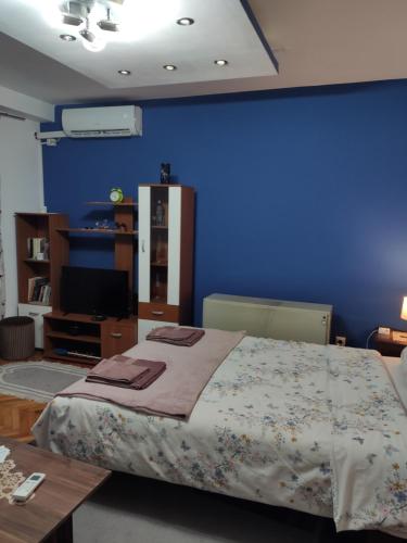 een slaapkamer met een bed en een blauwe muur bij KS Studio in Borča