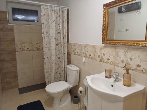 a bathroom with a toilet and a sink and a mirror at Ubytovanie Málika in Čierny Blh