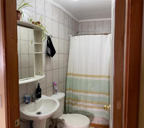a bathroom with a toilet and a sink and a shower at Casa Lepeley Colimilla in Frutillar