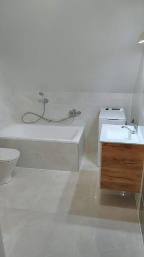 Et badeværelse på Apartamenty całoroczne Ślesin