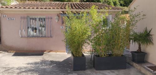 eine Gruppe von Topfpflanzen vor einem Haus in der Unterkunft La Nina A 5 min de Cassis in Roquefort-la-Bédoule