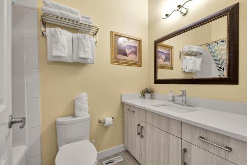 a bathroom with a toilet and a sink and a mirror at banff woods lodge in Canmore