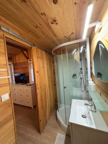 a bathroom with a shower and a toilet and a sink at Le Chalet des Pins - La Forge De Clermont in Clermont