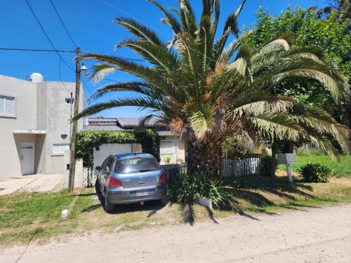 a palm tree in front of a car at Lo de Capra! in Santa Clara del Mar