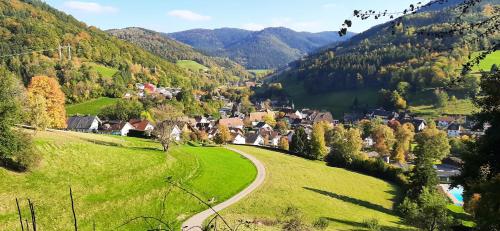 Gallery image of Ferienwohnung Bachklang Oberprechtal in Elzach