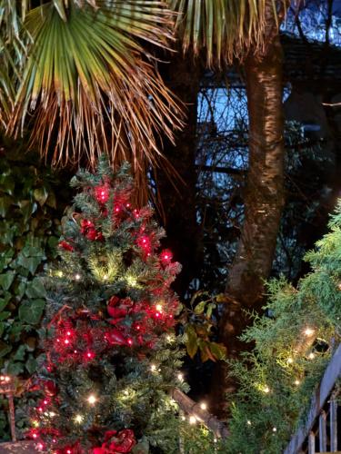 Een tuin van Guest House Hello