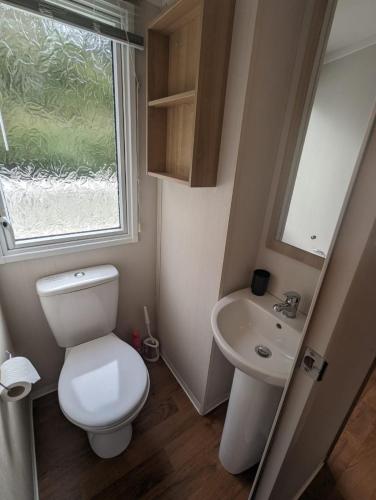a small bathroom with a toilet and a sink at Denny's Holiday Homes in Blackpool