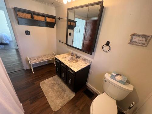 a bathroom with a toilet and a sink and a mirror at Sunset Cottage in Havana