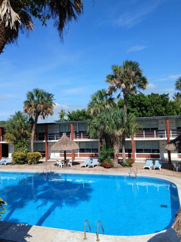 a large swimming pool in front of a building with palm trees at Hotel Plaza Palmas in Tuxpan de Rodríguez Cano