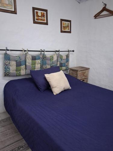ein blaues Bett mit einem Kissen darauf in der Unterkunft Casita de Campo - Chacra Lavanda in Salto