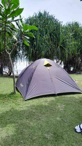 Zahrada ubytování Glamour Camping Pantai Madasari