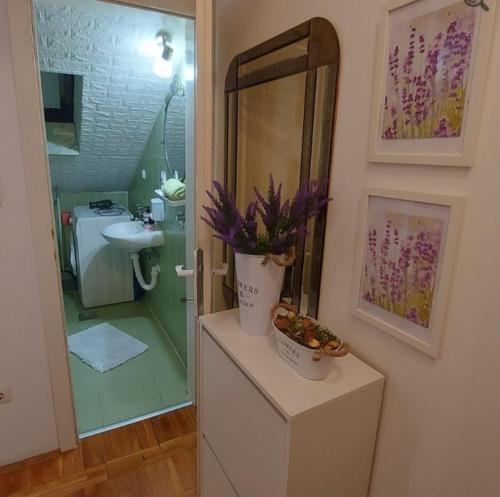 un bagno con lavandino e specchio di Apartman "Andjela" a Belgrado