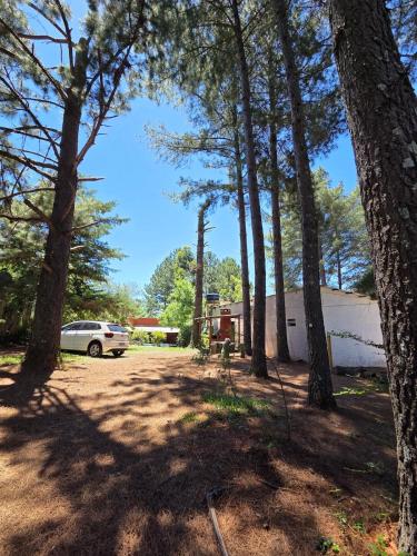 a campsite with a car parked in the woods at Nido Rústico in Rivera