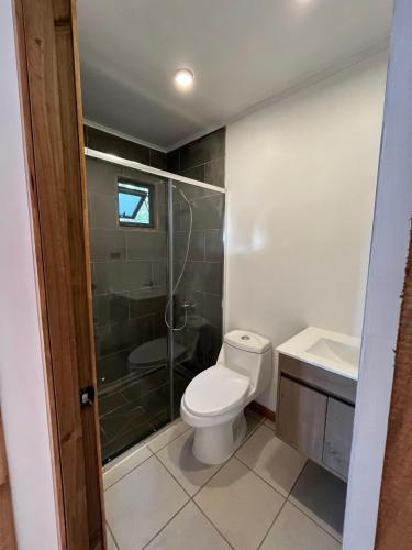 ein Badezimmer mit Toilette, Dusche und Waschbecken in der Unterkunft Cabaña Los Arrayanes 2 in Coihueco