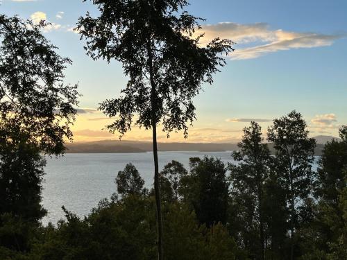 Foto dalla galleria di Cabaña Los Arrayanes 2 a Coihueco