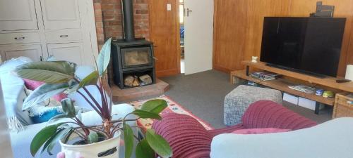 a living room with a fireplace and a couch and a tv at The River Bothy in Christchurch