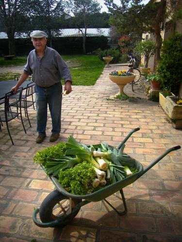 a man standing next to a wheelbarrow of vegetables at Lo Rastelié in Suze-la-Rousse