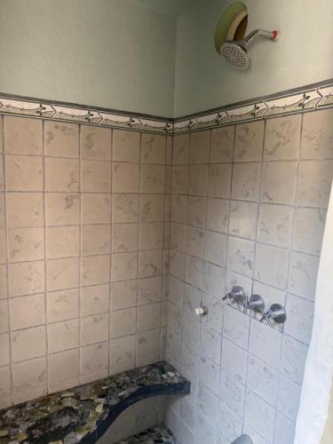 een badkamer met een betegelde douche met bij LaCusuca in Guadalajara