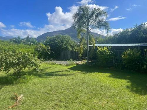 un cortile con una palma e montagne sullo sfondo di Bungalow à Dumbea rivière 