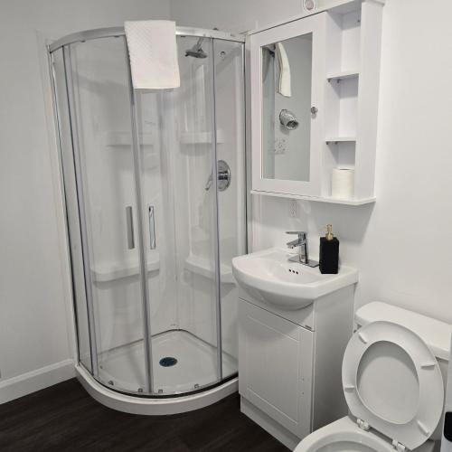 een badkamer met een douche, een toilet en een wastafel bij Ici Chez Vous in Trois-Rivières