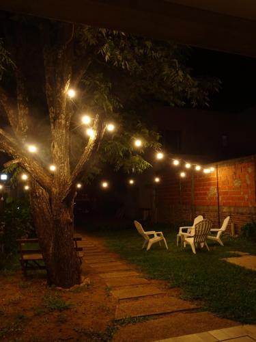 un albero con le luci sopra in un giardino di notte di El gran nogal colon a Colón