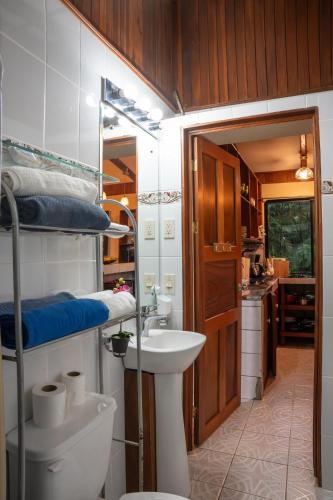 a bathroom with a sink and a toilet in a room at Casa Vegas Panoramic Views near Monteverde in Turín